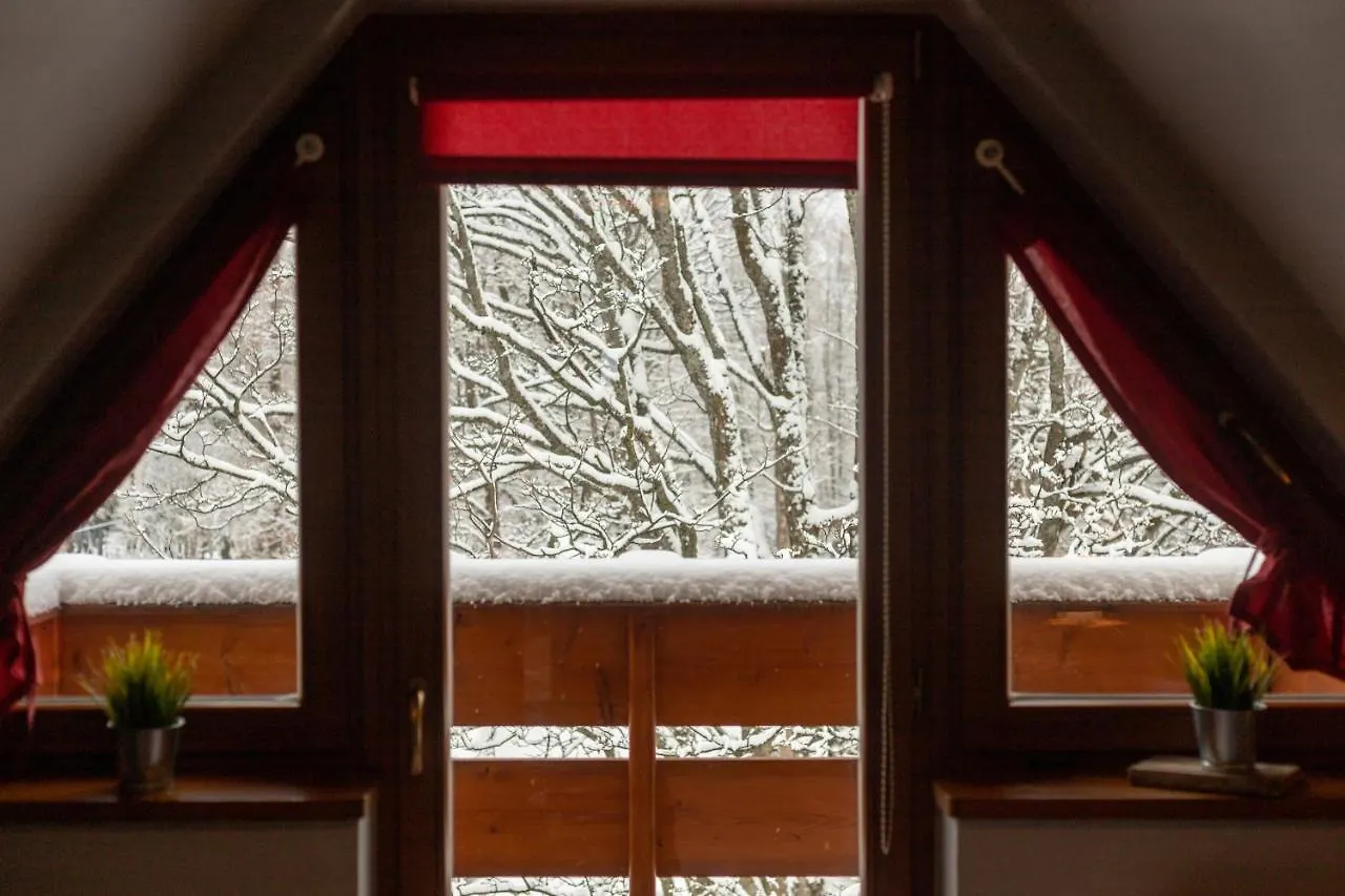 Golden Apartments Zakopane - One Bedroom Apartment - Mountain View&B13