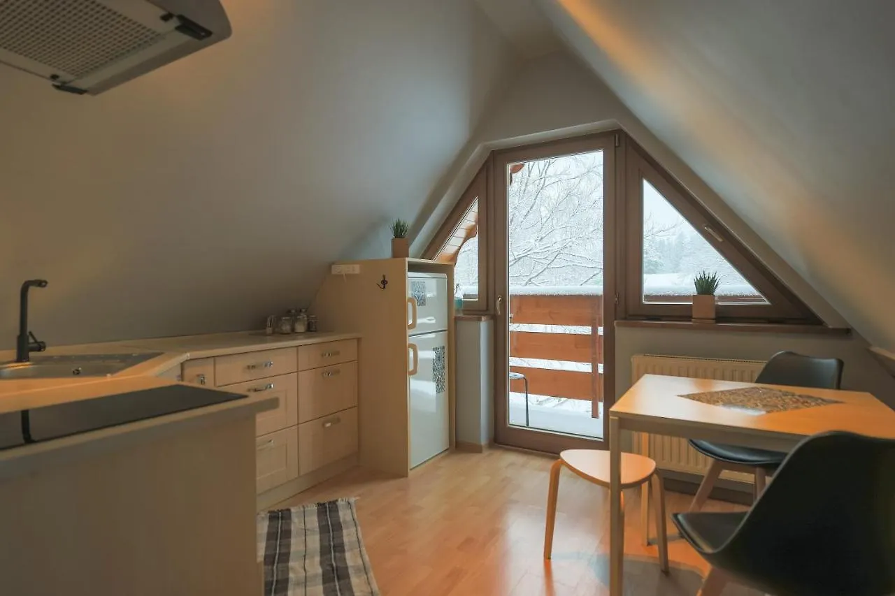 Golden Apartments Zakopane - One Bedroom Apartment - Mountain View&B13